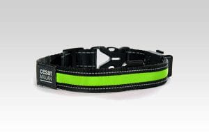 bright_light_collar_green
