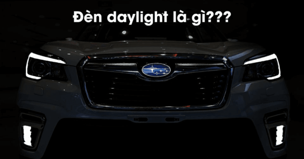 đèn daylight trên Foresrer